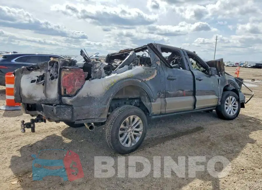 1FTFW6L85SFB20227 Photo# 3