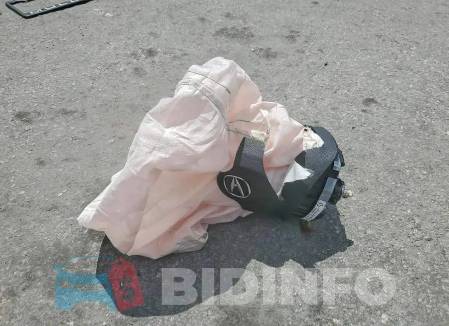 19UDE4G73RA010429 Photo# 12