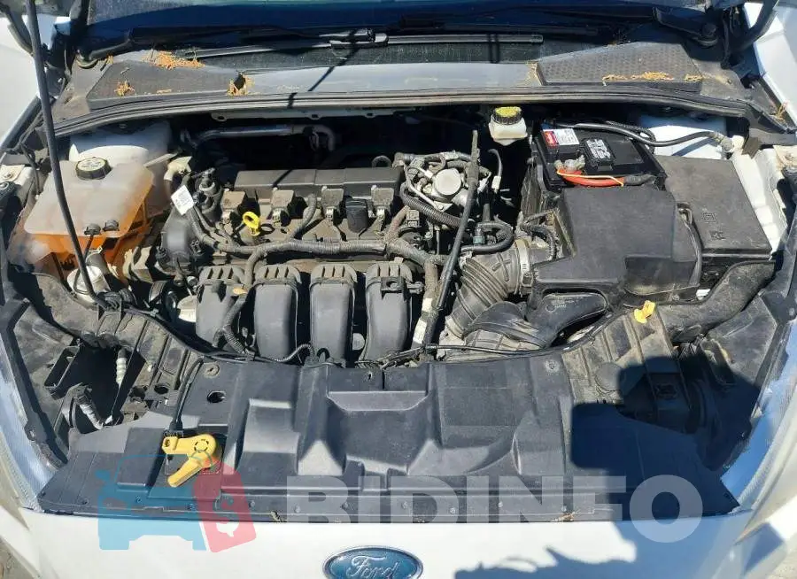 1FADP3H21HL311814 Photo# 11