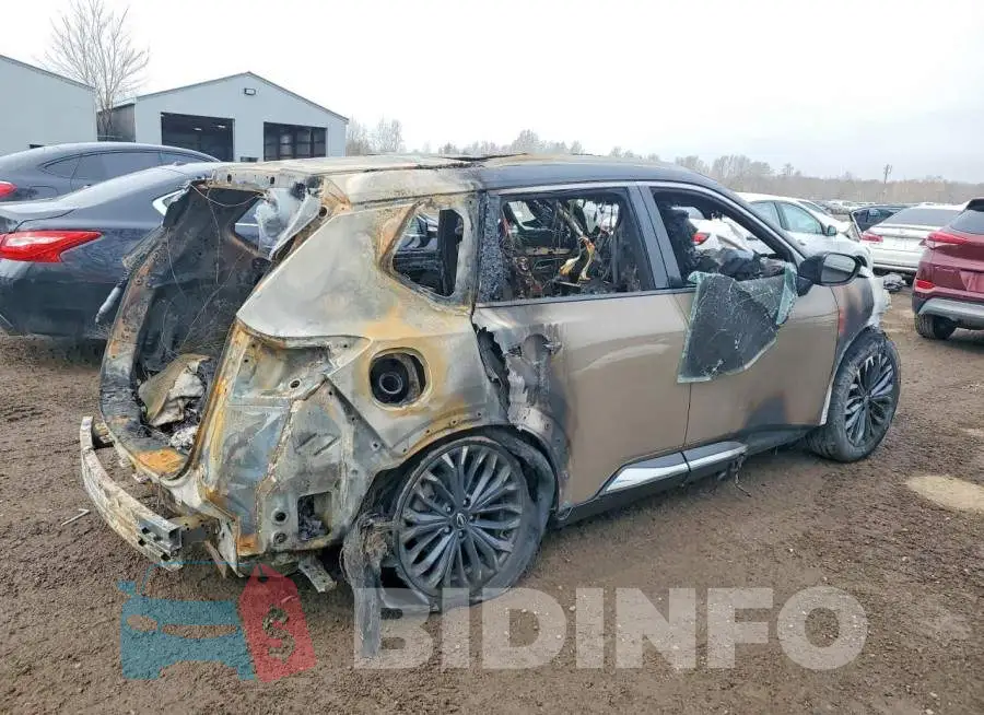 JN8BT3DD6SW300547 Photo# 3
