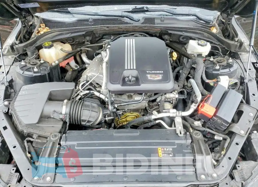 1G6DG5RKXL0147383 Photo# 11