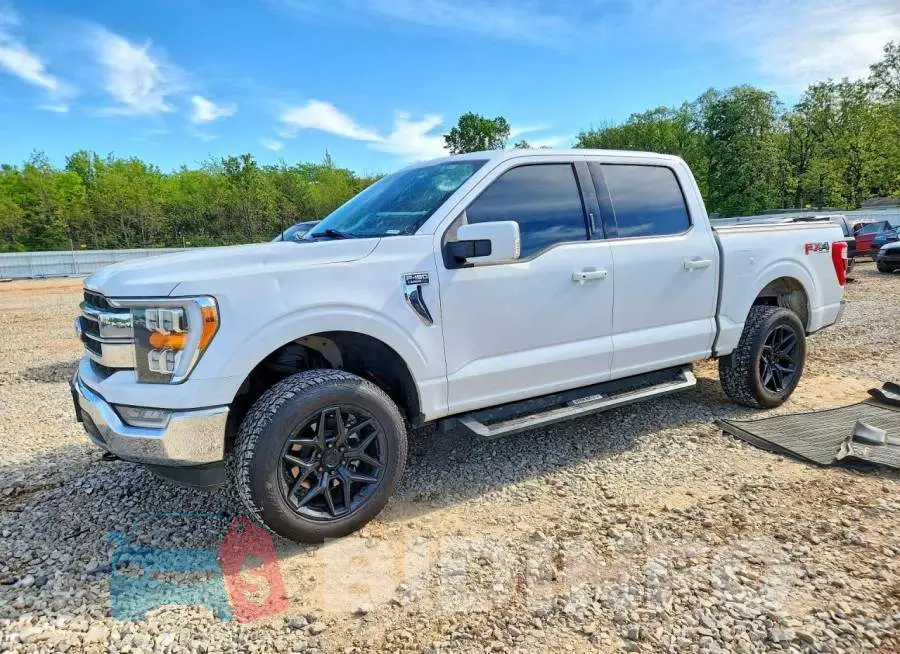 1FTFW1E80MFB17836 Photo# 1