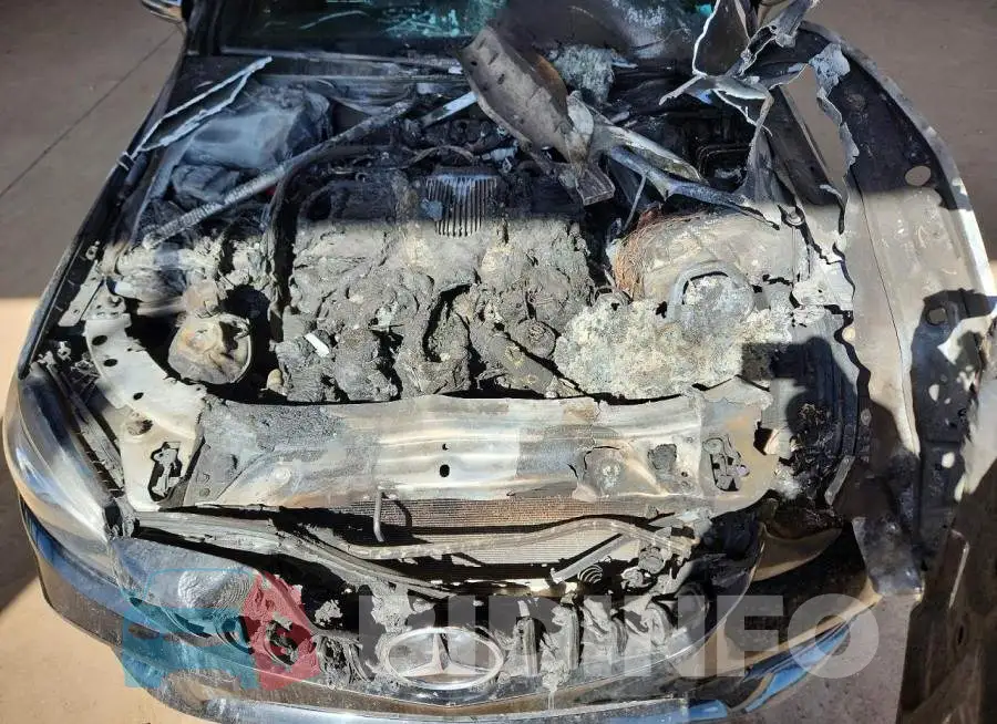 WDDWJ6EB6KF818293 Photo# 11