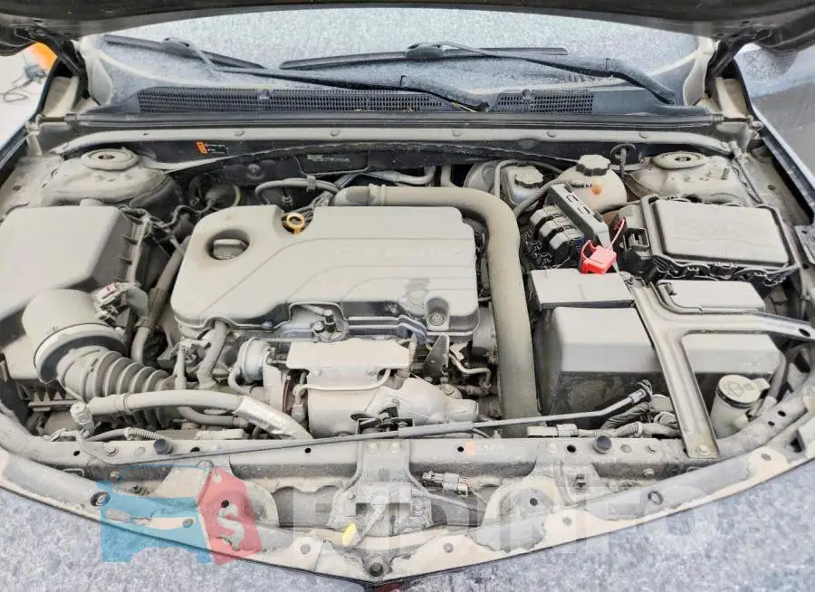 1G1ZB5ST9HF290164 Photo# 12