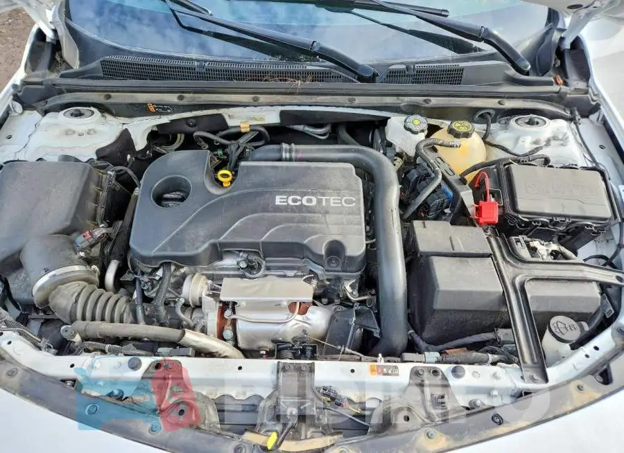 1G1ZD5ST0RF161158 Photo# 11