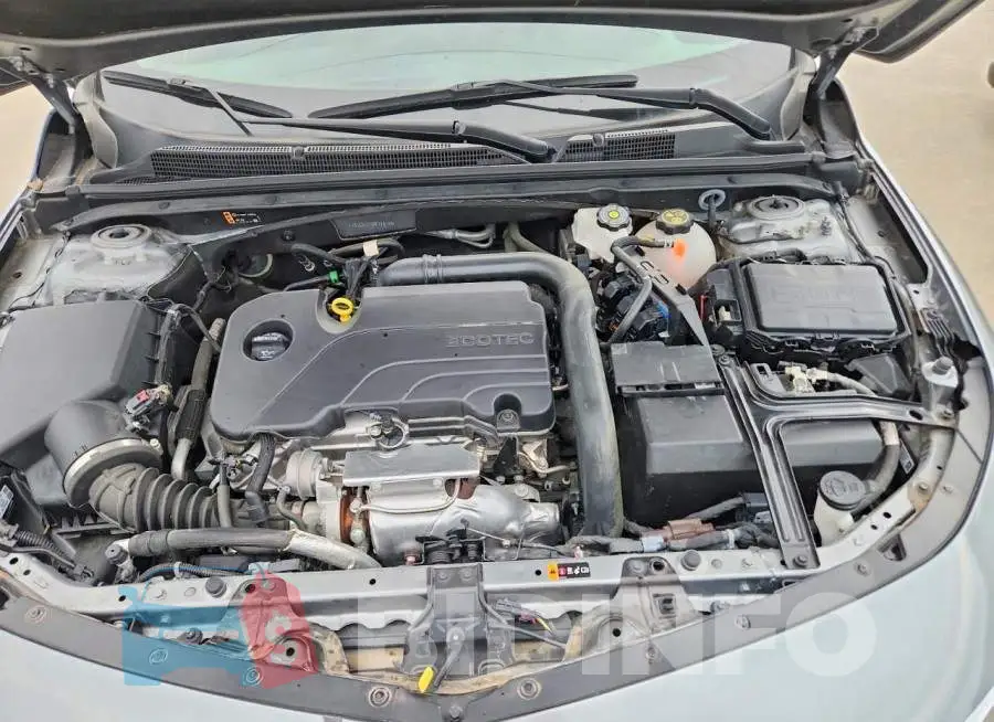 1G1ZD5ST5RF178148 Photo# 11