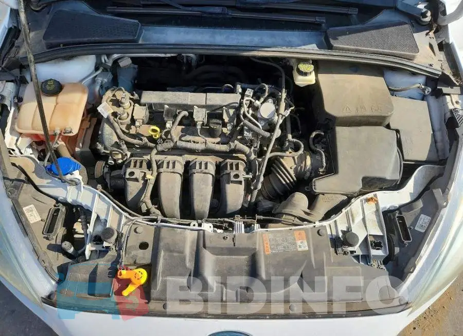 1FADP3F2XHL253818 Photo# 11