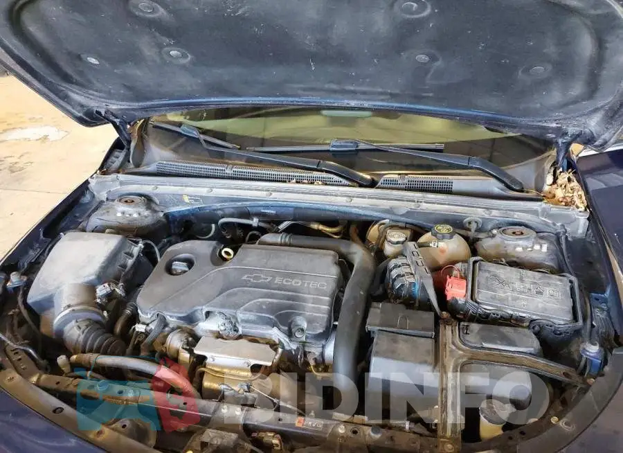 1G1ZE5ST3HF179875 Photo# 11