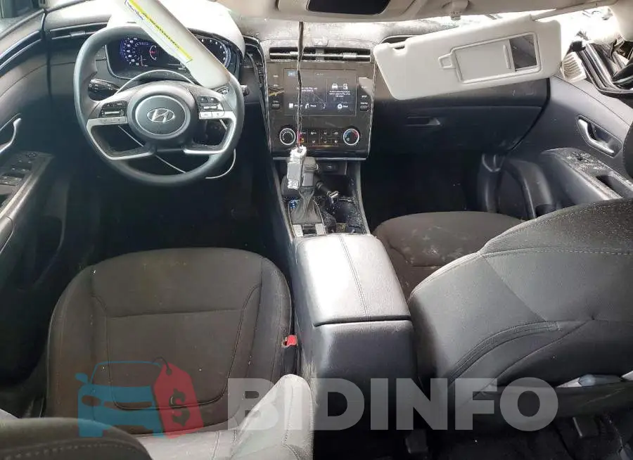 5NMJACDE1RH402518 Photo# 8
