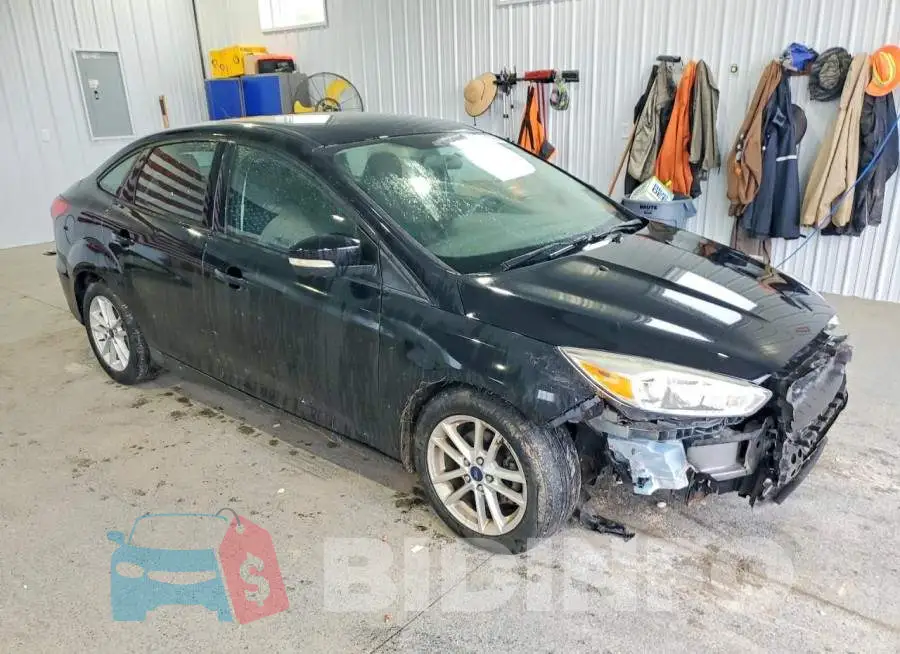 1FADP3F24HL252521 Photo# 4