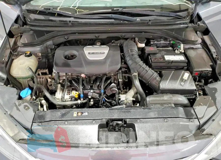KMHD04LB7KU865898 Photo# 11