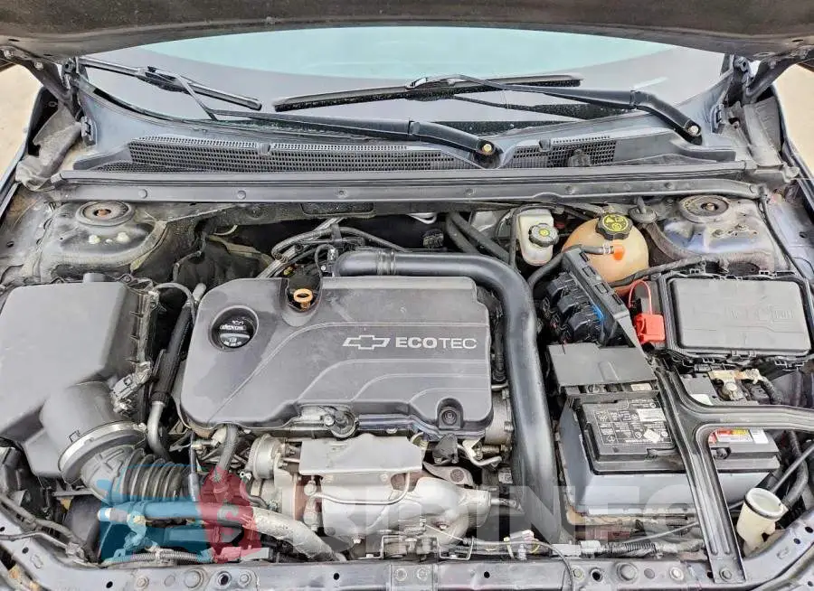 1G1ZB5ST4HF242524 Photo# 11