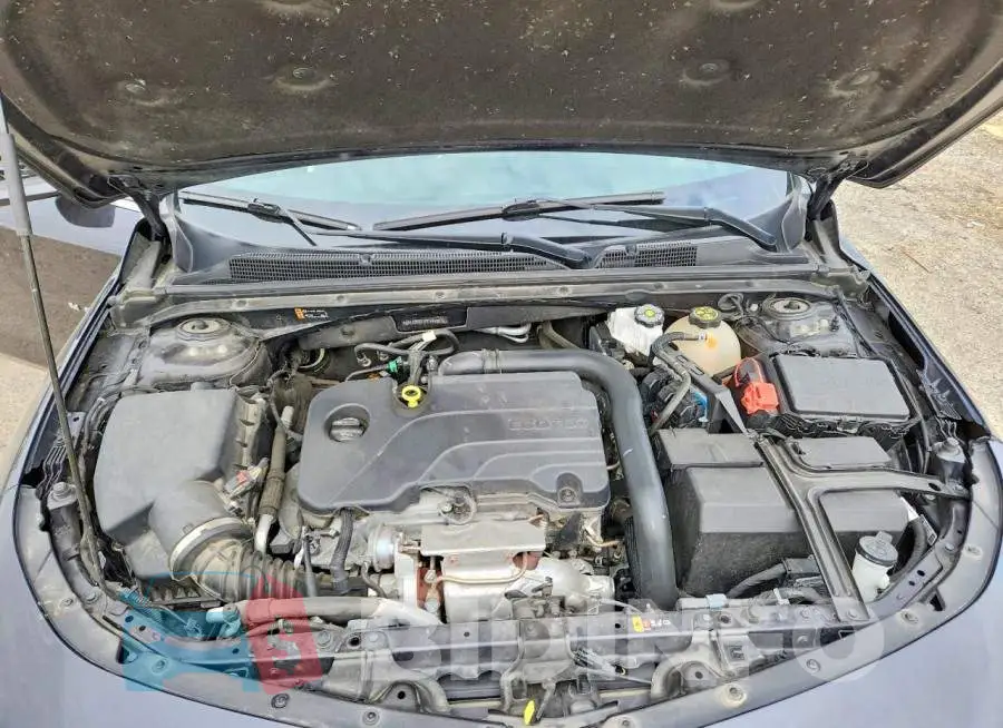 1G1ZD5ST1PF144883 Photo# 11