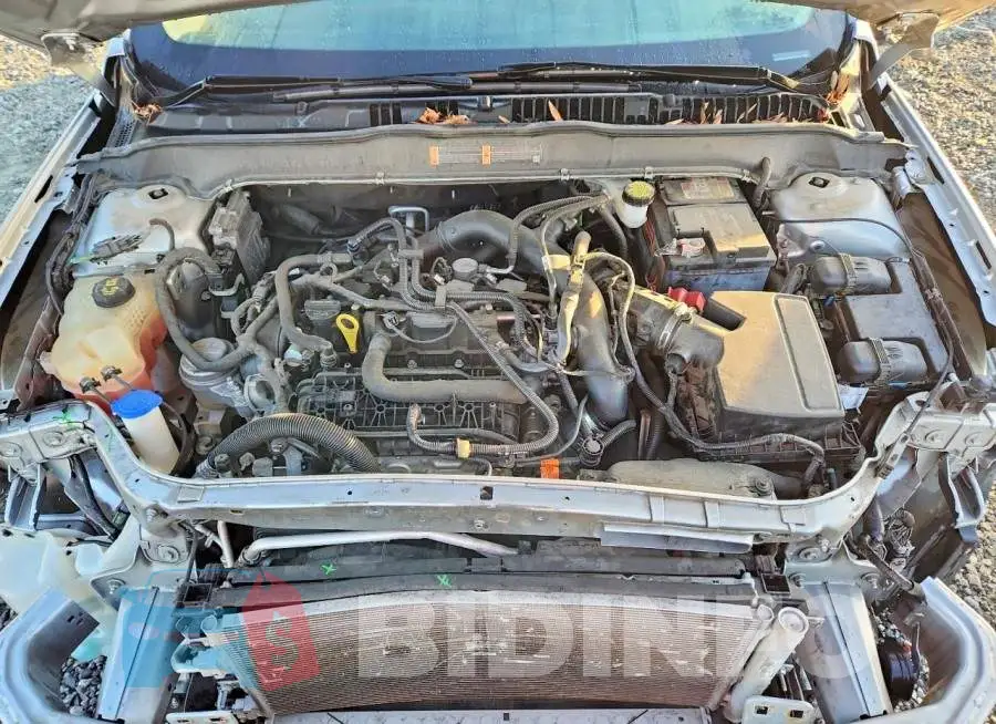 3FA6P0CDXKR219917 Photo# 11