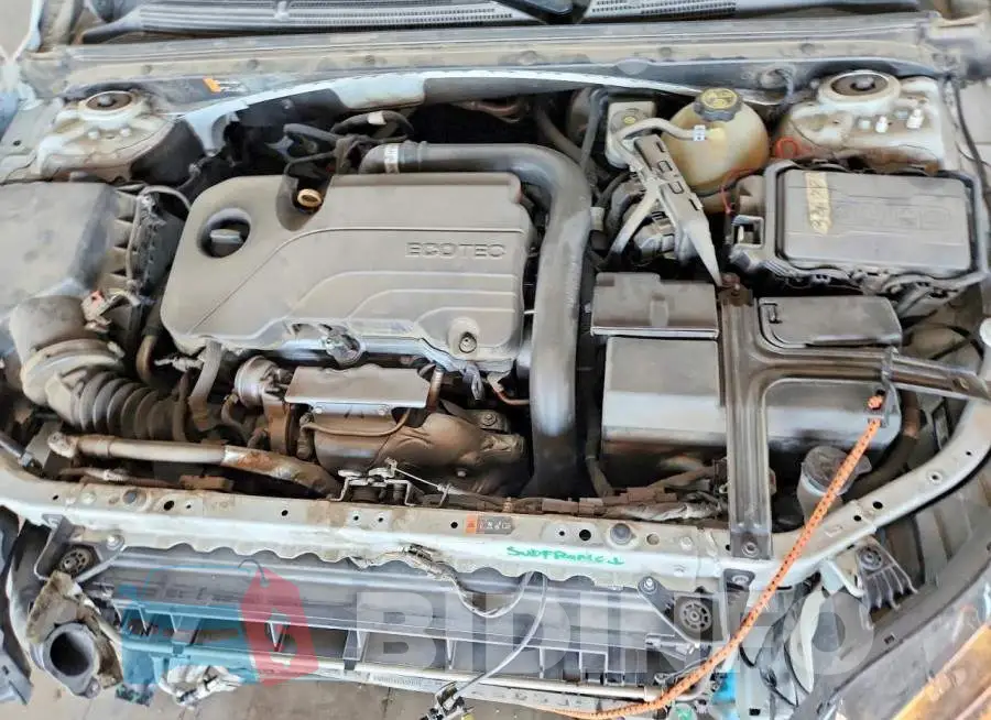 1G1ZD5ST6LF101246 Photo# 11