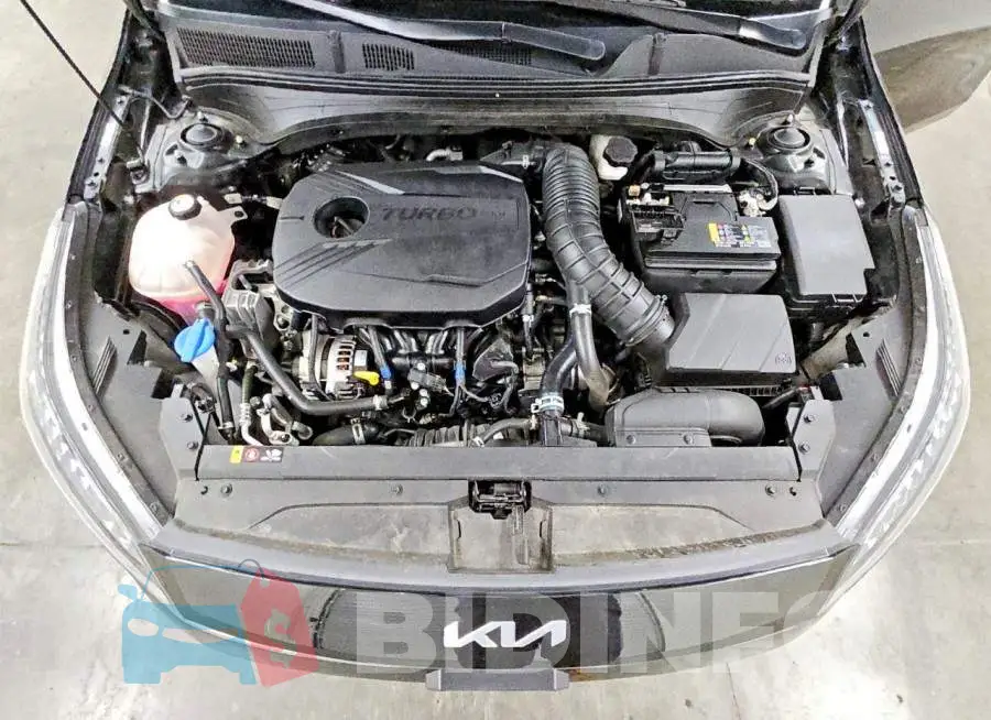 3KPF44AC9PE652003 Photo# 11