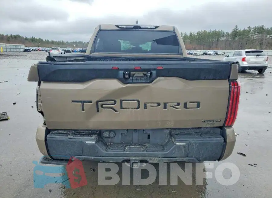 5TFPC5DB2SX087635 Photo# 6