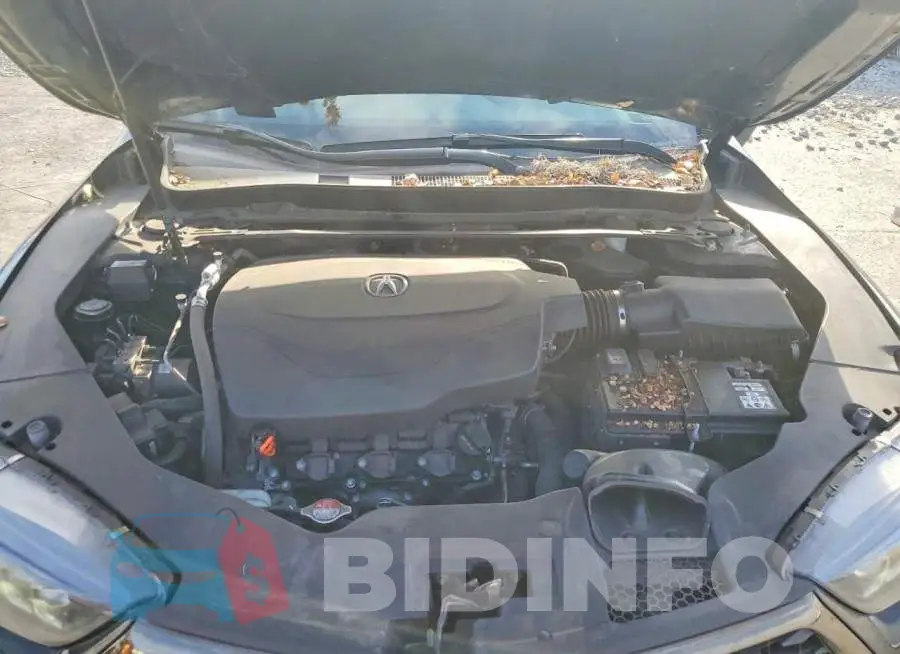 19UUB2F64JA005007 Photo# 11