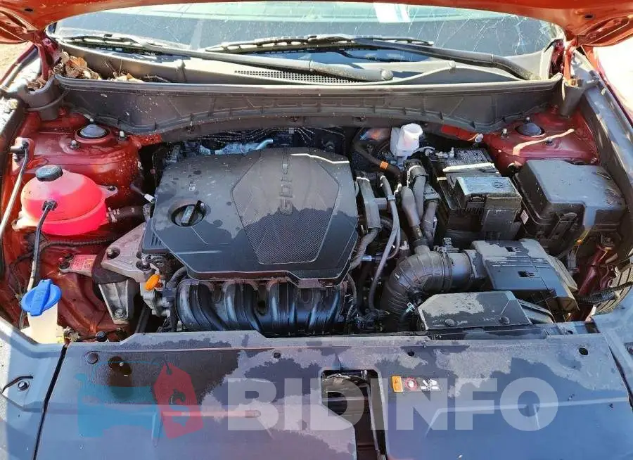 5NMJACDE4RH439952 Photo# 11