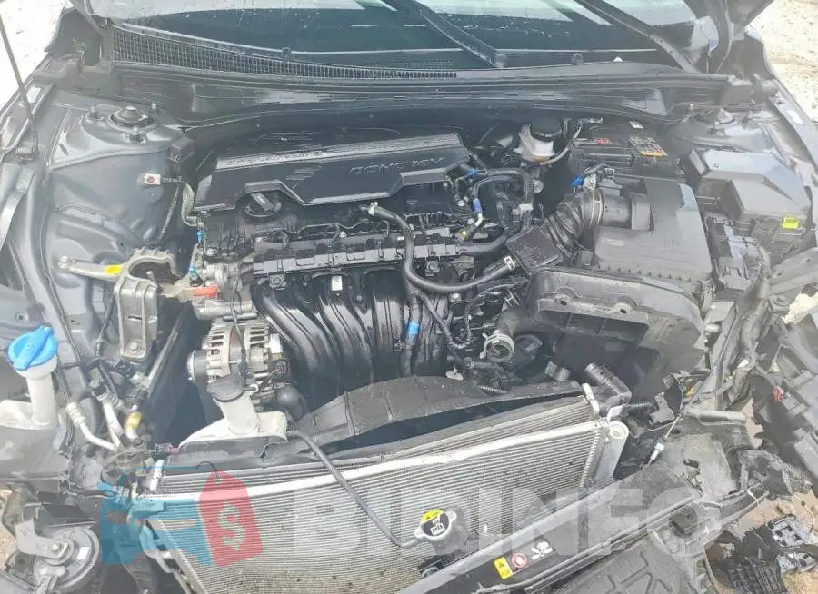 KMHLM4DGXRU809443 Photo# 11