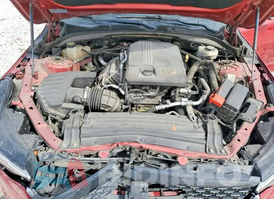 1G6DB5RK4M0133155 Photo# 11
