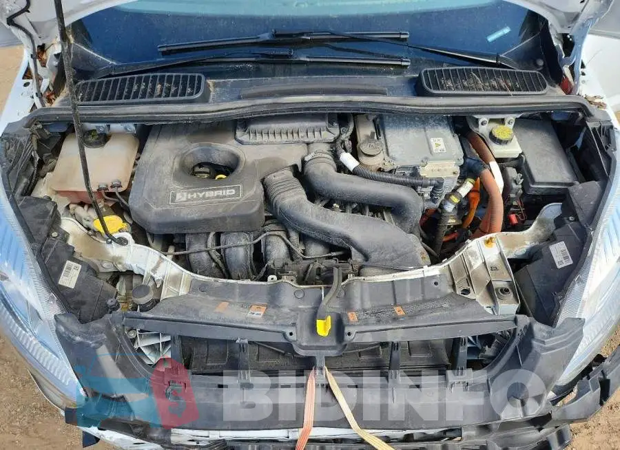1FADP5AU3HL118622 Photo# 11