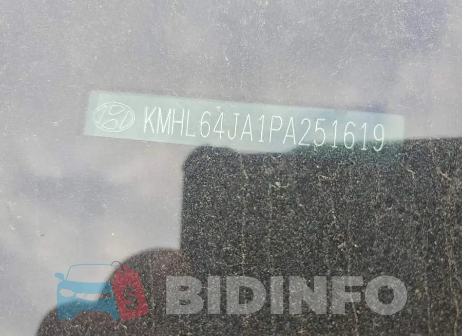 KMHL64JA1PA251619 Photo# 12