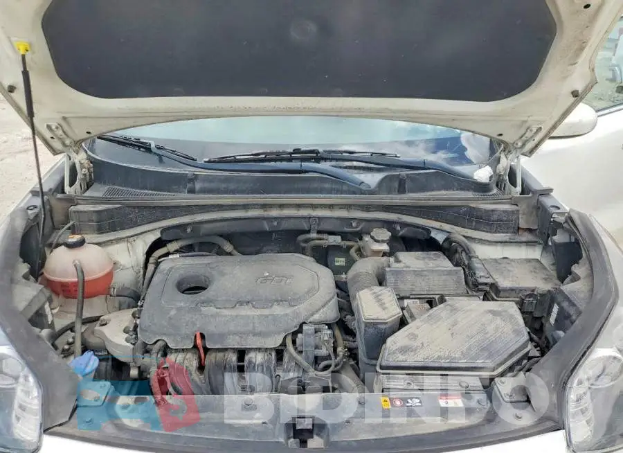 KNDPM3AC1M7926742 Photo# 12