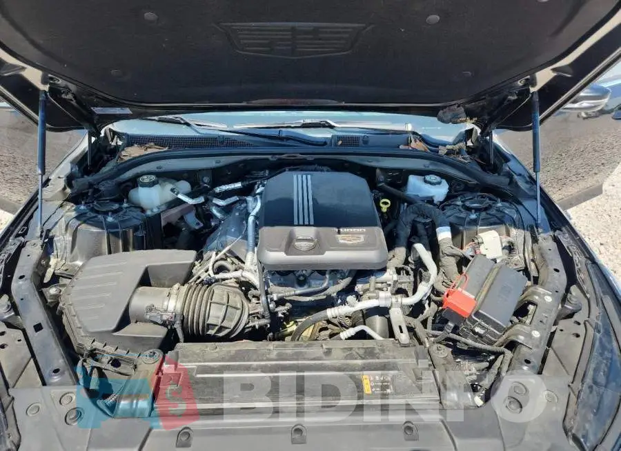 1G6DM5RK8M0145741 Photo# 11