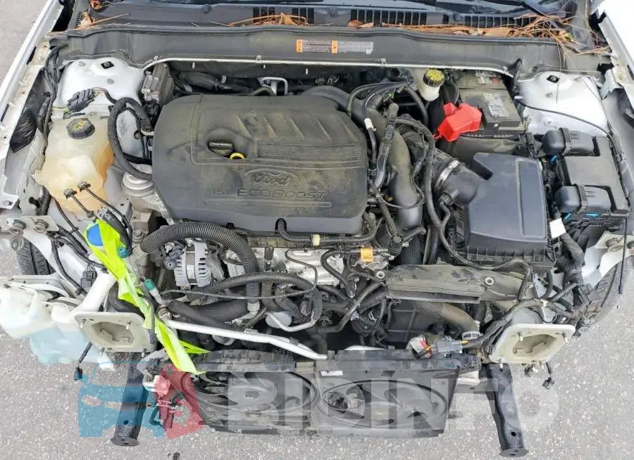 3FA6P0HD0HR281523 Photo# 11