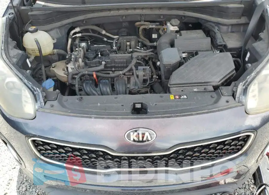 KNDPN3ACXH7075284 Photo# 12