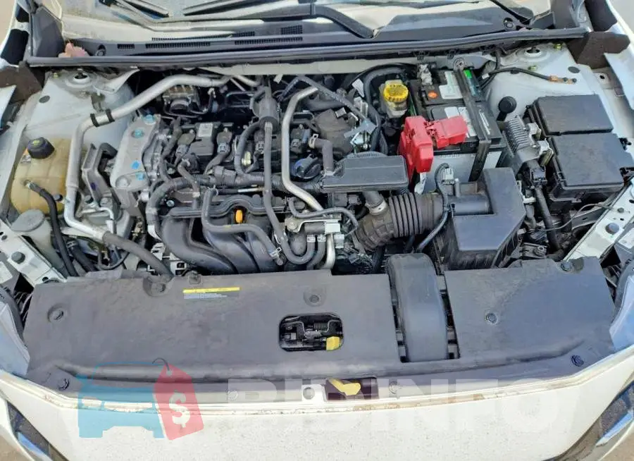 3N1AB8BV3RY288561 Photo# 11