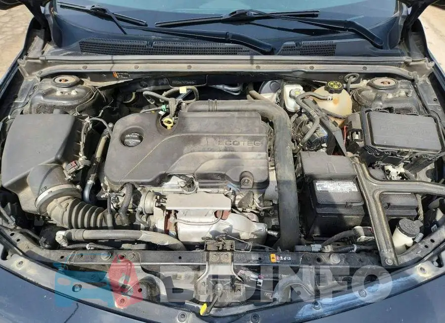 1G1ZD5ST9JF264843 Photo# 11