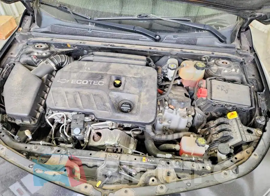 1G1ZF5SU1JF287407 Photo# 11