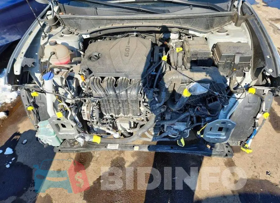 5NMJACAE2PH232462 Photo# 12