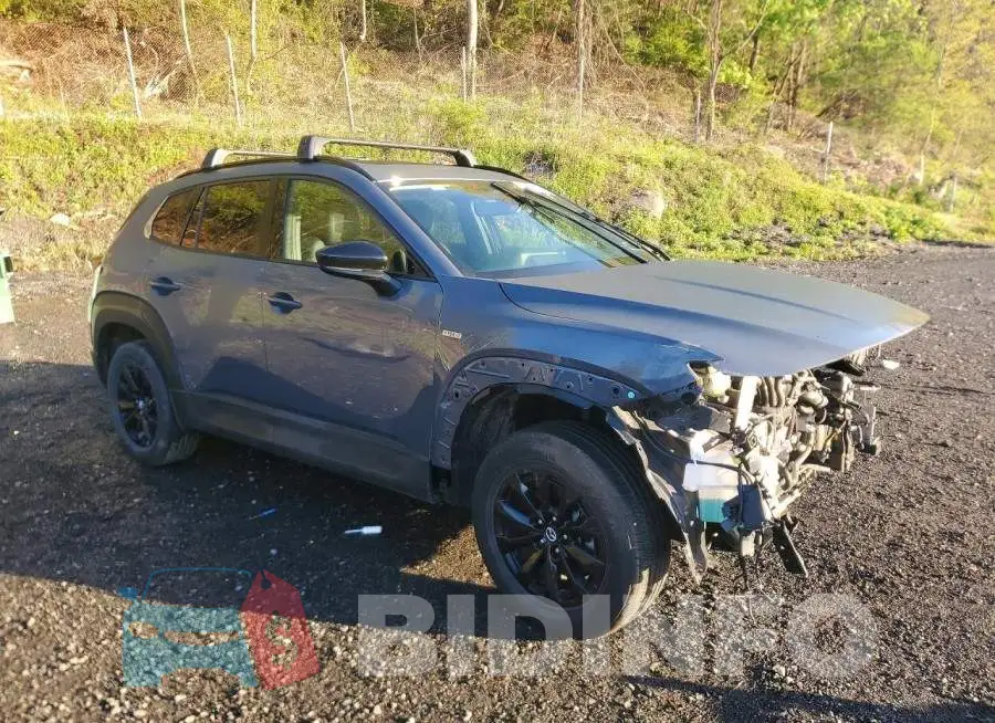 7MMVAADW2SN125224 Photo# 4