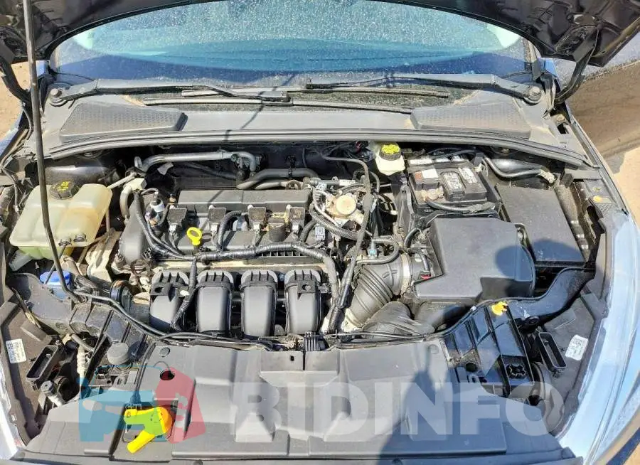1FADP3E26HL281097 Photo# 11