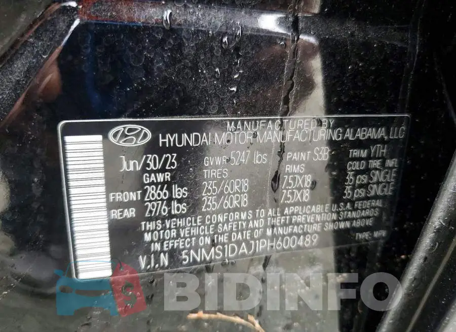 5NMS1DAJ1PH600489 Photo# 12