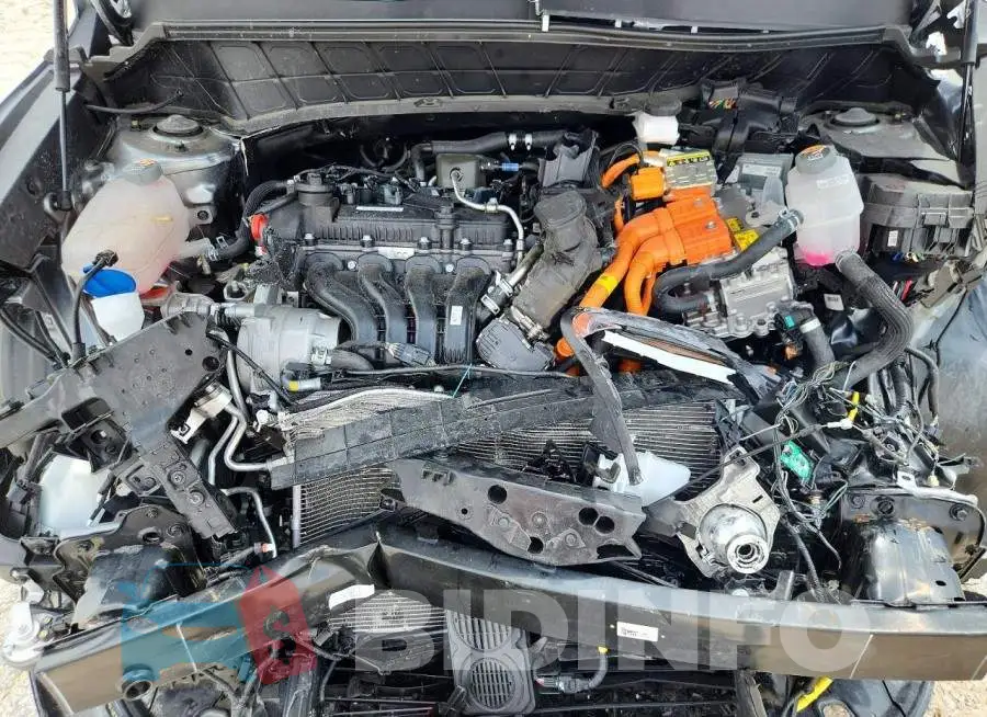 KNDCP3LE1T5327273 Photo# 12