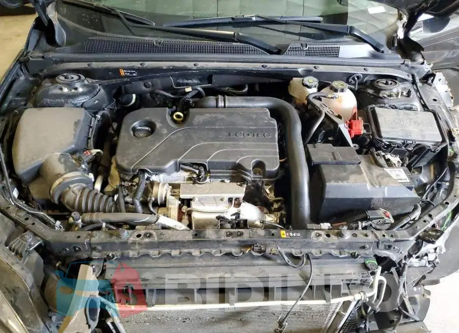 1G1ZD5ST0RF146675 Photo# 11