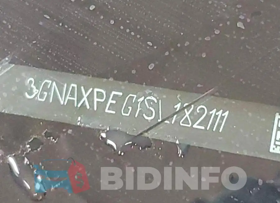 3GNAXPEG1SL182111 Photo# 13