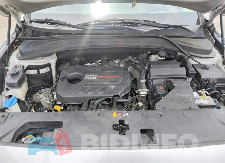 5NMS53AA2KH131338 Photo# 12