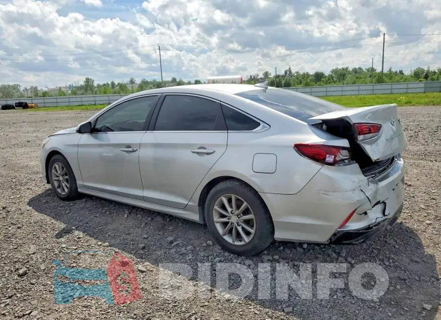 5NPE24AFXJH686126 Photo# 2