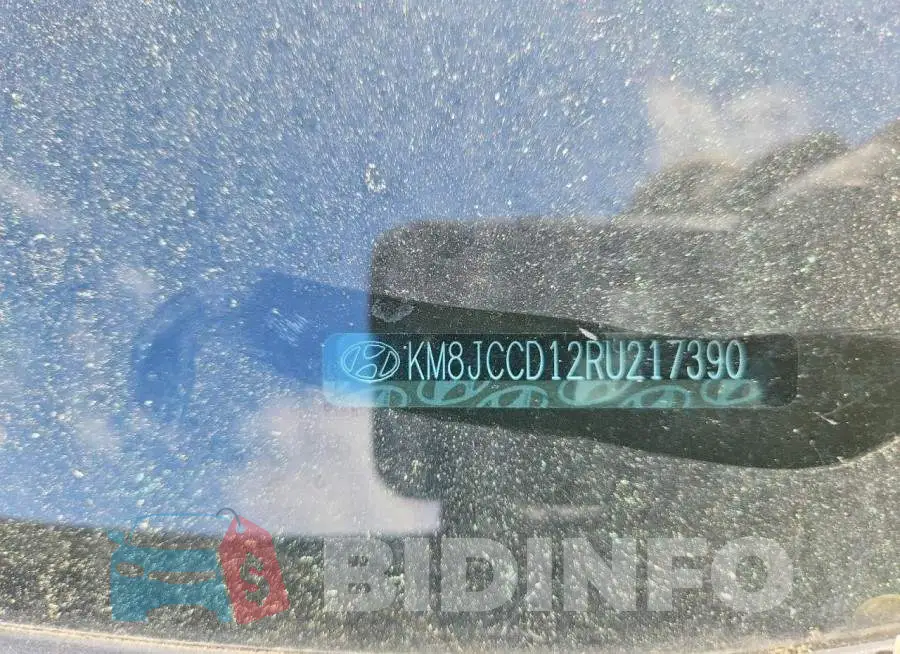KM8JCCD12RU217390 Photo# 13