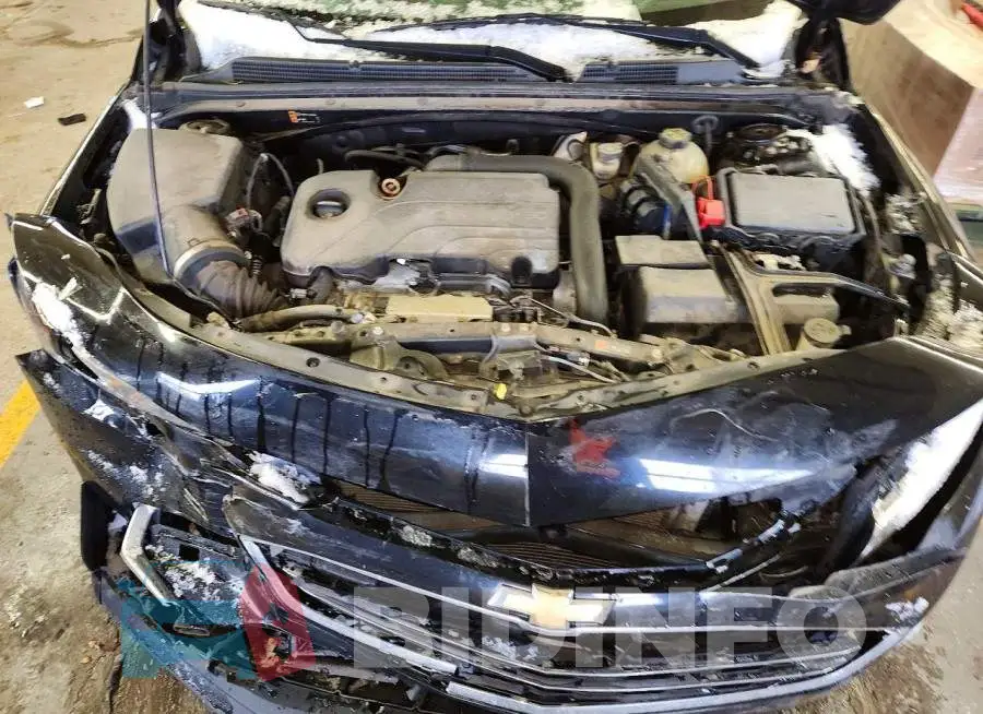 1G1ZB5ST3HF169498 Photo# 11