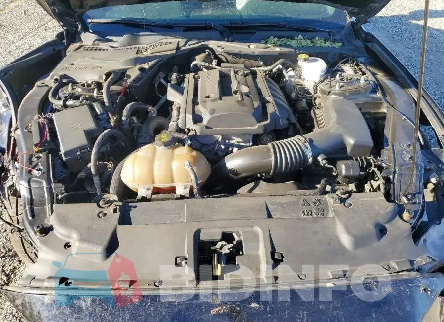 1FA6P8TH1K5143914 Photo# 11