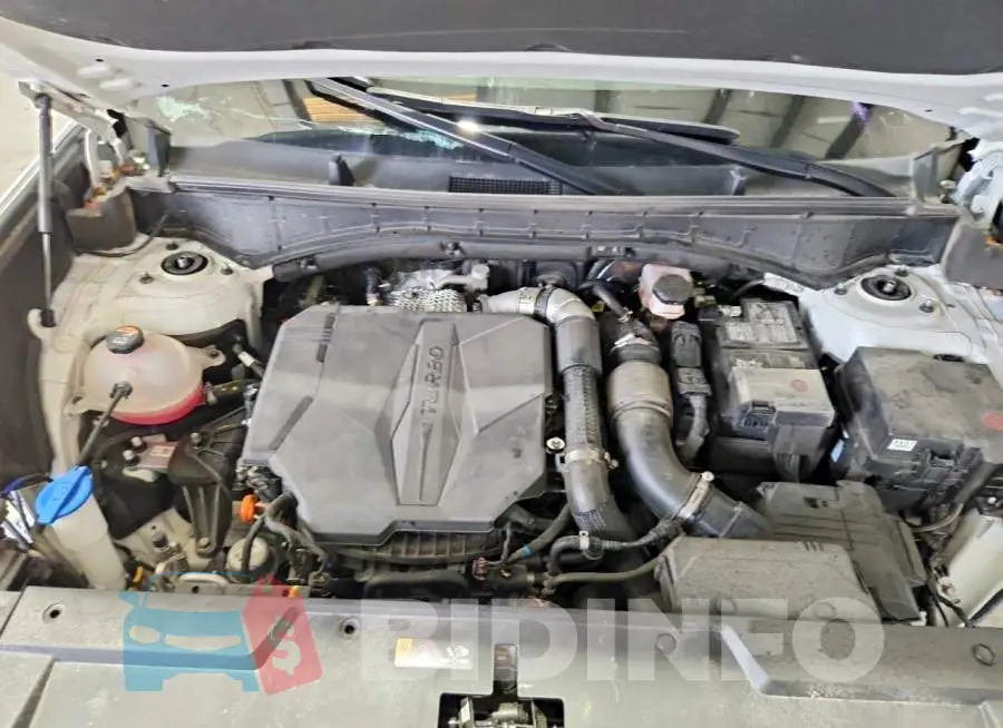 5NMP2DGL4SH130088 Photo# 12
