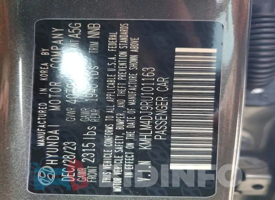KMHLM4DJ9RU101163 Photo# 12