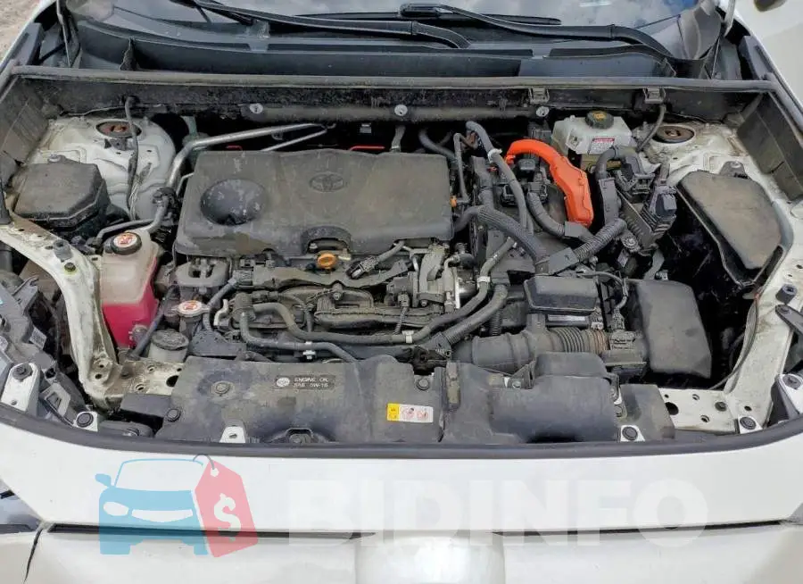 4T3DWRFV6LU005534 Photo# 12