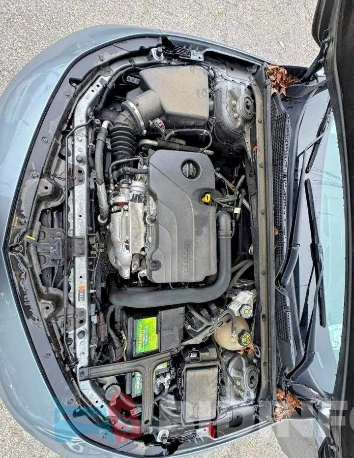 1G1ZD5ST5PF230844 Photo# 7